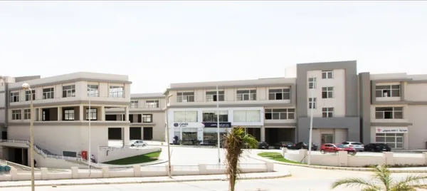 الكرمة 4