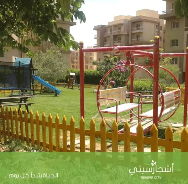 اشجار سيتي