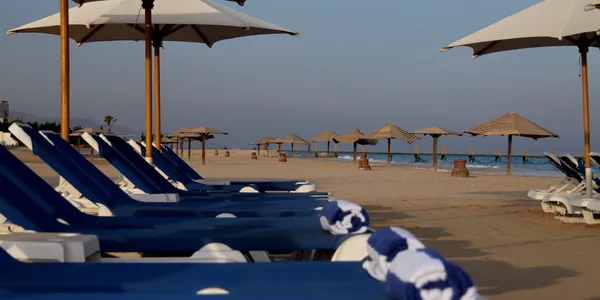 ليتل فينيس