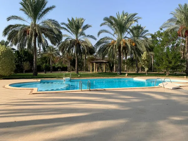 فيردي