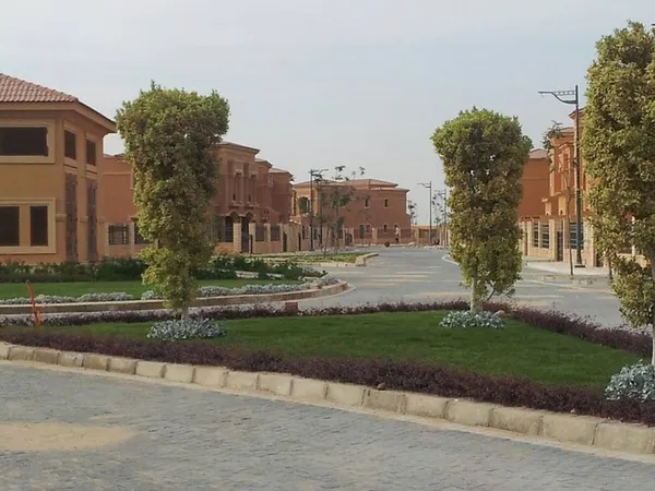 رويال ميدوز الشيخ زايد