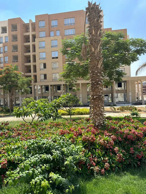 ممشى افينيوز